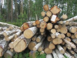 Logs for Finland blog