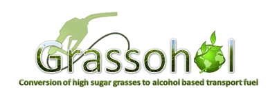 Grassohol