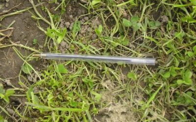 Is there a middle way for grazing?