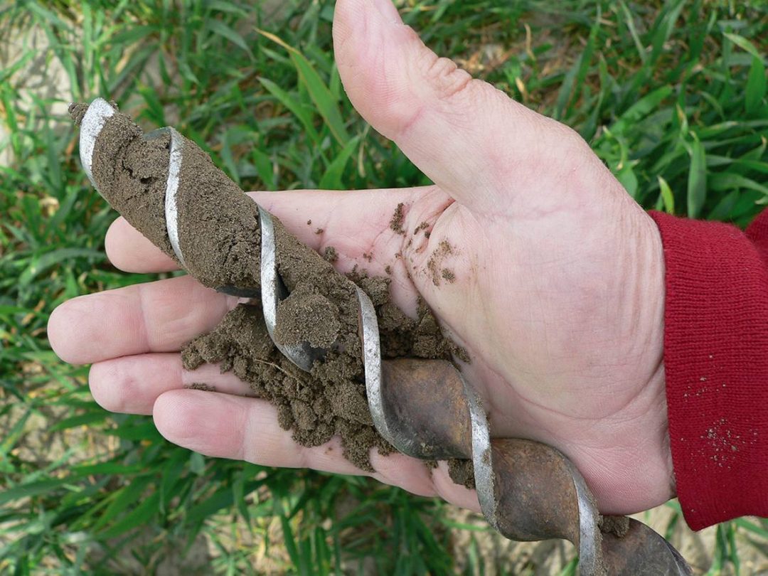 Soil Corer talking grass