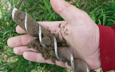 Only 2% of pasture tested has ideal soil nutrients