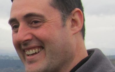 Base feeding plans on grass and forage