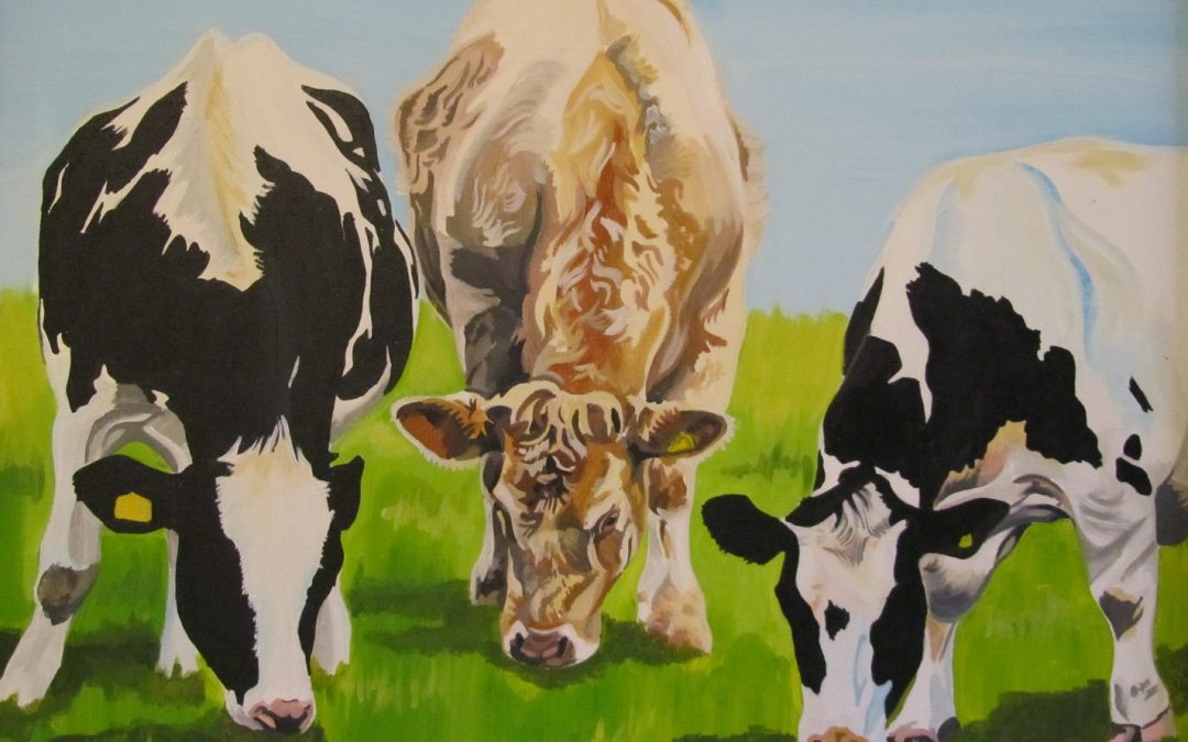 Lauren’s paintings of cows are a big hit with me!