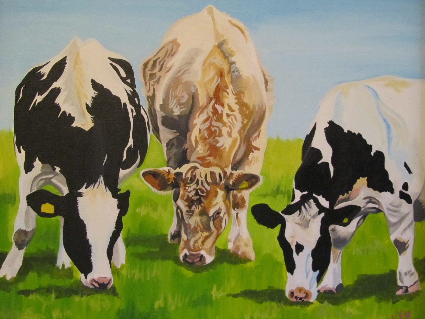 Gourmet Grass ‘Gourmet diet’ – three cheeky youngsters doing what they do best – grazing grass