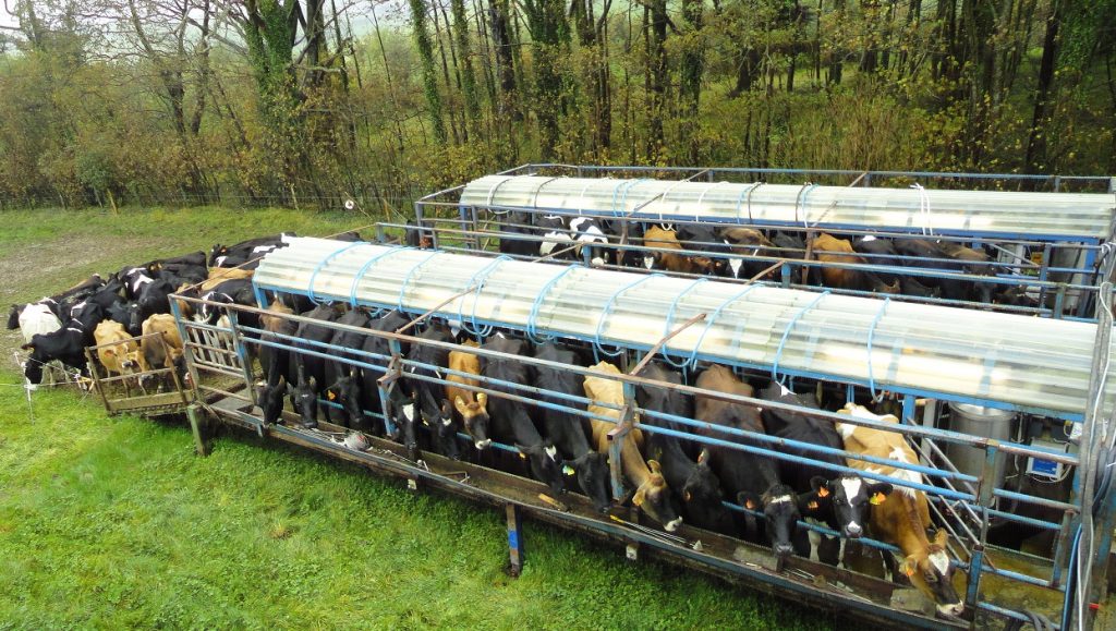 Taking the parlour to the cows The cows don’t have far to go for milking!