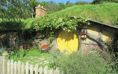 Grass does grow well in New Zealand