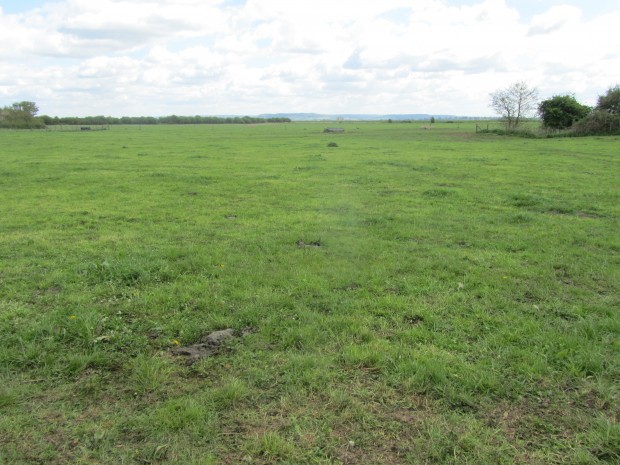 The cows graze down to 1500kg DM/ha, which maximises grass utilisation and encourages quality re-growth.