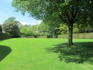 Neatly clipped hedges and grass at Hidcote Manor Garden