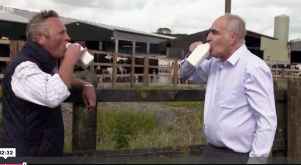 Jules and the John Horseman drinking milk