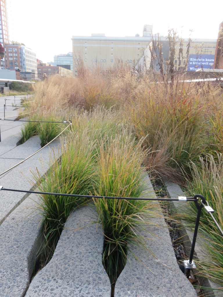 Clever feathered paving makes it look like the grasses are slowly coming out and taking over the concrete!