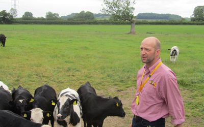 BGS Grazing mentors