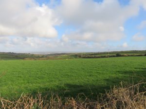 talking grass blog - a week in Sara's working life. Field of grass at Paul Richard's farm.