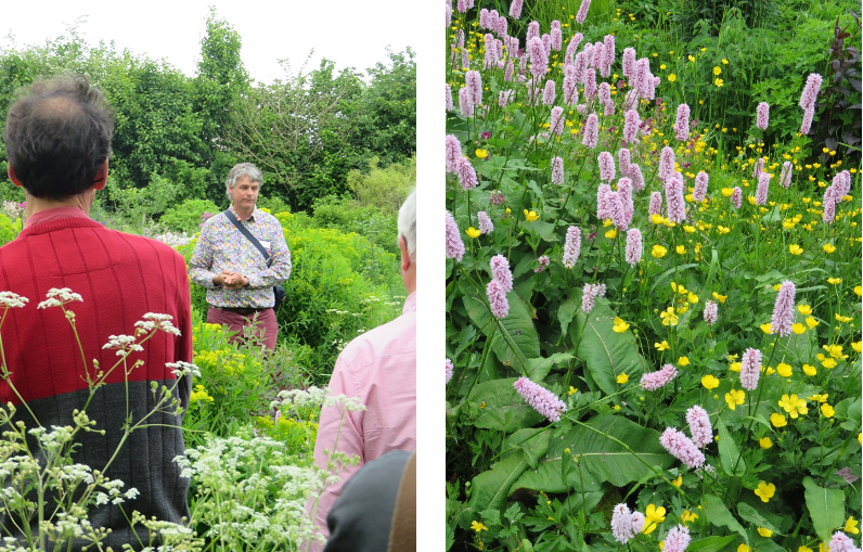Garden writer Dr Noel Kingsbury and Jo Elliot opened their gardens, wildflowers and grass meadows for the National Garden Scheme.
