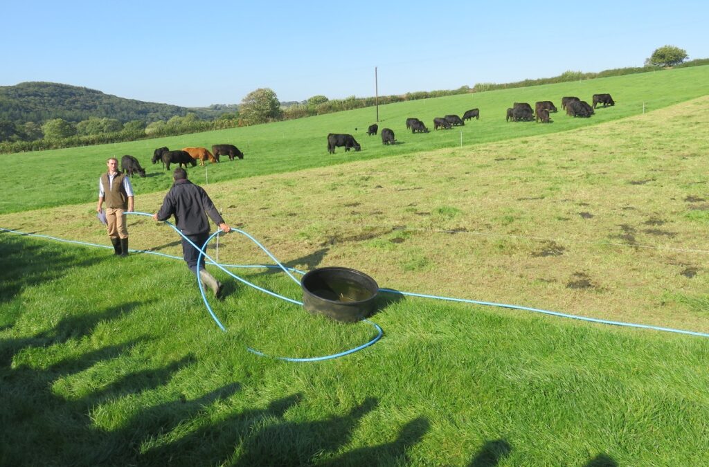 Moving the water trough to the next two days grazing